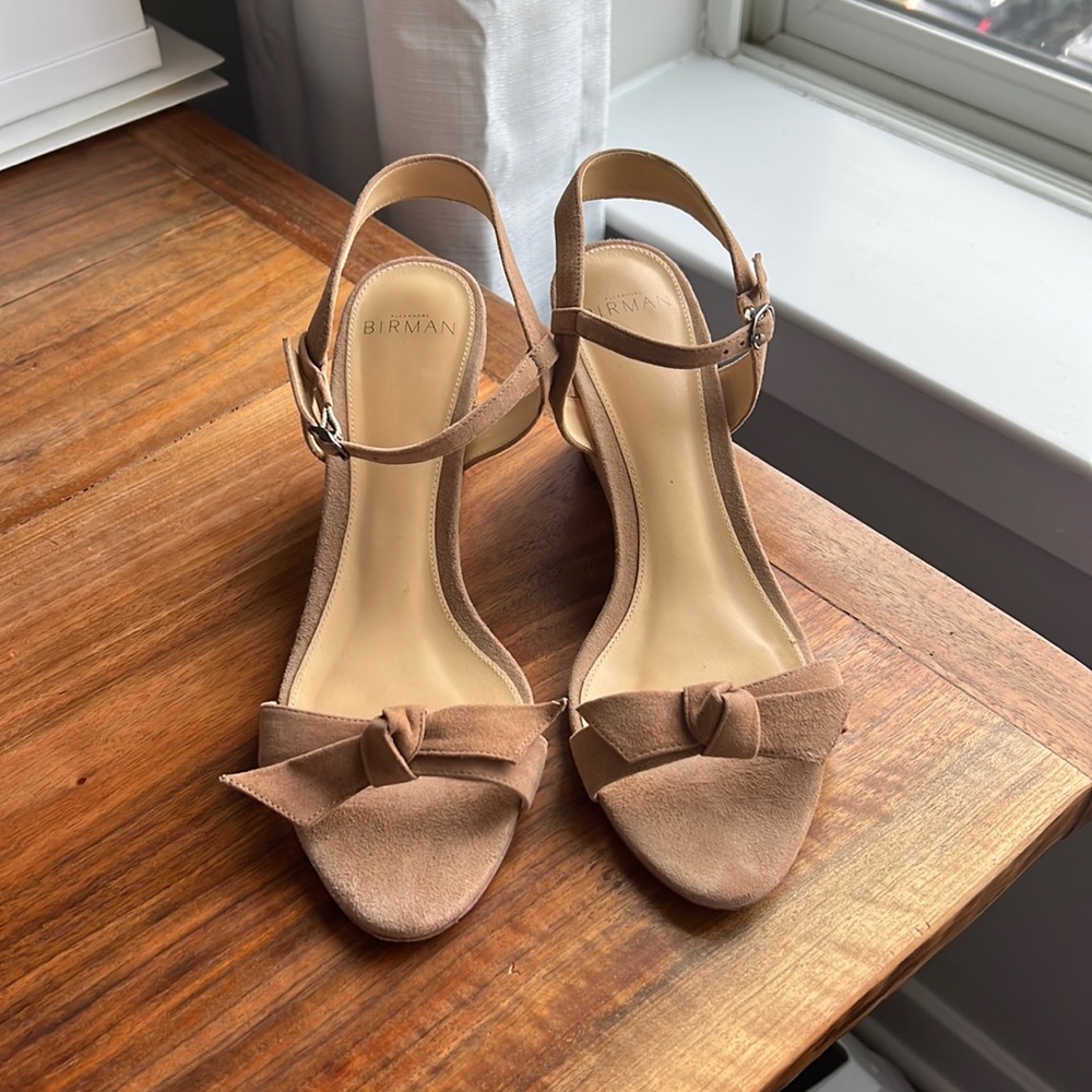 Alexandre Birman Suede Wedge Sandals - ONCE WORN! Fits US 8.5, not 9.5